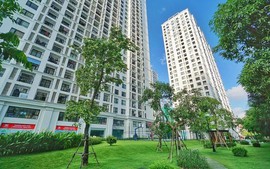 Chung cư liên tục tăng “nóng”, chuyên gia khẳng định: “Chưa ngáo giá!” 7 Chung cư liên tục tăng “nóng”, chuyên gia khẳng định: “Chưa ngáo giá!”