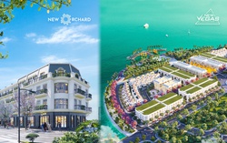 Một mảng đầu tư có thể “hái ra tiền” trong tương lai nhưng không phải nhà đầu tư nào cũng biết