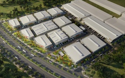 Mayhomes – Đại lý F1 phân phối chính thức dự án Vinhomes Royal Island