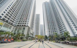 Người đi xem nhà đất ngày càng nhiều 10 Người đi xem nhà đất ngày càng nhiều