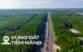 Ngắm con đường xuyên rừng đẹp như mơ, kết nối TP.HCM với siêu dự án ven biển trị giá 217.000 tỷ của Vingroup 5 Ngắm con đường xuyên rừng đẹp như mơ, kết nối TP.HCM với siêu dự án ven biển trị giá 217.000 tỷ của Vingroup