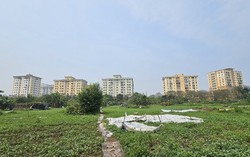 Đất đấu giá huyện vùng ven Hà Nội chốt hơn 50 triệu/m2, gấp đôi giá khởi điểm 7 Đất đấu giá huyện vùng ven Hà Nội chốt hơn 50 triệu/m2, gấp đôi giá khởi điểm
