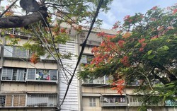 Bên trong khu tập thể hơn 50 tuổi xuống cấp, rung lắc mỗi khi xe chạy qua