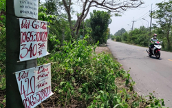 Đại diện Novaland: “Chúng tôi vẫn miệt mài bơi lên bờ, dù để vào bờ cần thêm một đoạn đường nữa”