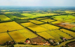 Hà Nội: Quận Long Biên đón thêm dự án đô thị gần 140ha, trải dài 3 phường