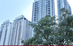 Tại sao căn hộ 3 phòng ngủ là lựa chọn hàng đầu của giới trẻ? 9 Tại sao căn hộ 3 phòng ngủ là lựa chọn hàng đầu của giới trẻ?