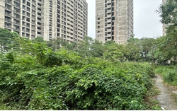 Dự kiến 21/11, Quốc hội thảo luận về dự thảo Nghị quyết thí điểm thực hiện dự án nhà ở thương mại thông qua thỏa thuận về nhận quyền sử dụng đất