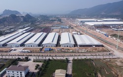 Phú Yên cưỡng chế phá dỡ phần xây dựng trái phép tại khách sạn Bạch Dương Aries