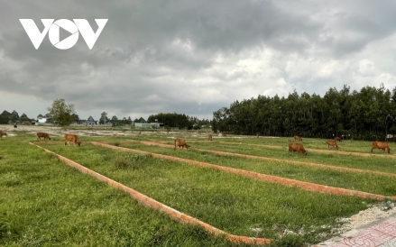 Định giá đất - “Nút thắt” của thị trường bất động sản? 3 Định giá đất - “Nút thắt” của thị trường bất động sản?