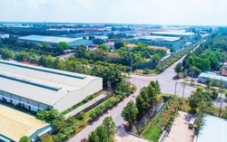 Doanh nghiệp địa ốc hồ hởi ra hàng sau Tết