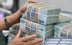 Thủ tướng Phạm Minh Chính kiểm tra dự án sân bay Long Thành