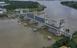 'Cò đất' tiết lộ đất đấu giá 120 triệu/m2 ở phố huyện