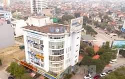 Hà Nội: Khu đất dịch vụ bỏ hoang, nhiều chủ hộ đã chết nhưng đất vẫn chưa giao