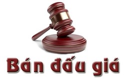 Chủ nhà không còn hét giá 'ảo', khách thêm cơ hội mua chung cư Hà Nội