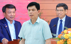 89 lô đất huyện ngoại thành Hà Nội lên 'sàn' sau bỏ cọc