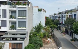 Phó Thủ tướng chỉ đạo Bộ Giao thông và 9 tỉnh thành về 'siêu dự án' đường sắt