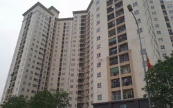 Biệt thự nghỉ dưỡng bên đồi đẹp như tranh