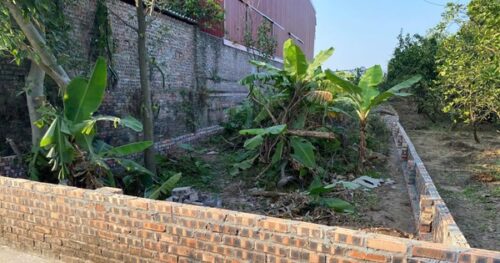 Lão nông bỗng dưng thành…“tỷ phú” nhờ bán đất, cầm tiền tỷ mà run tay