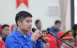 'Hàm cá mập' biến hồ Gươm thành ao tù