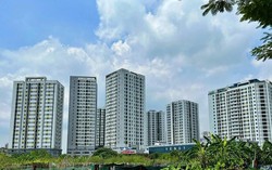 Cẩn trọng trong quyết định phá dỡ tòa nhà Hàm Cá Mập