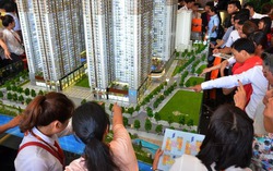 Bắt Giám đốc Công ty phát triển nhà Cà Mau