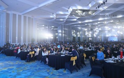 À La Carte Hạ Long Bay – Hành trình tái sinh sau siêu bão