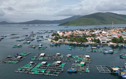 Tân Hoàng Minh, Hưng Thịnh đổ về, bất động sản khu vực này bất ngờ có diễn biến mới