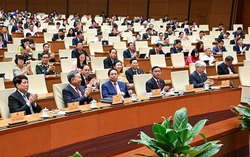 Quận 12 khởi công dự án nâng cấp đường dân sinh hơn 1.300 tỷ đồng