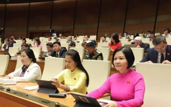 TP HCM, Đà Nẵng, Cần Thơ, Khánh Hòa tiếp tục được áp dụng cơ chế đặc thù