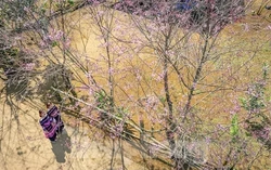 Trụ sở phường, xã của tỉnh có diện tích chưa đạt nhưng không thực hiện sáp nhập