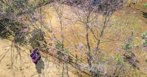 Bình Định chi 5 tỷ đồng làm nhà công vụ cho cán bộ đến công tác tại xã 'cổng trời'