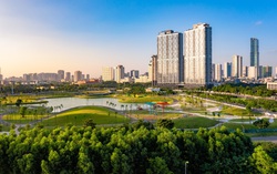 Mất 5 tiếng di chuyển Tân Sơn Nhất - Long Thành thì không ai muốn đặt vé