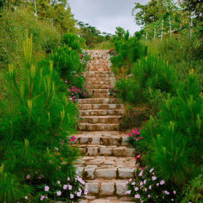 Aman Blao - Không Gian Sống Chữa Lành Giữa Thiên Nhiên Nguyên Bản 41 Aman Blao - Không Gian Sống Chữa Lành Giữa Thiên Nhiên Nguyên Bản