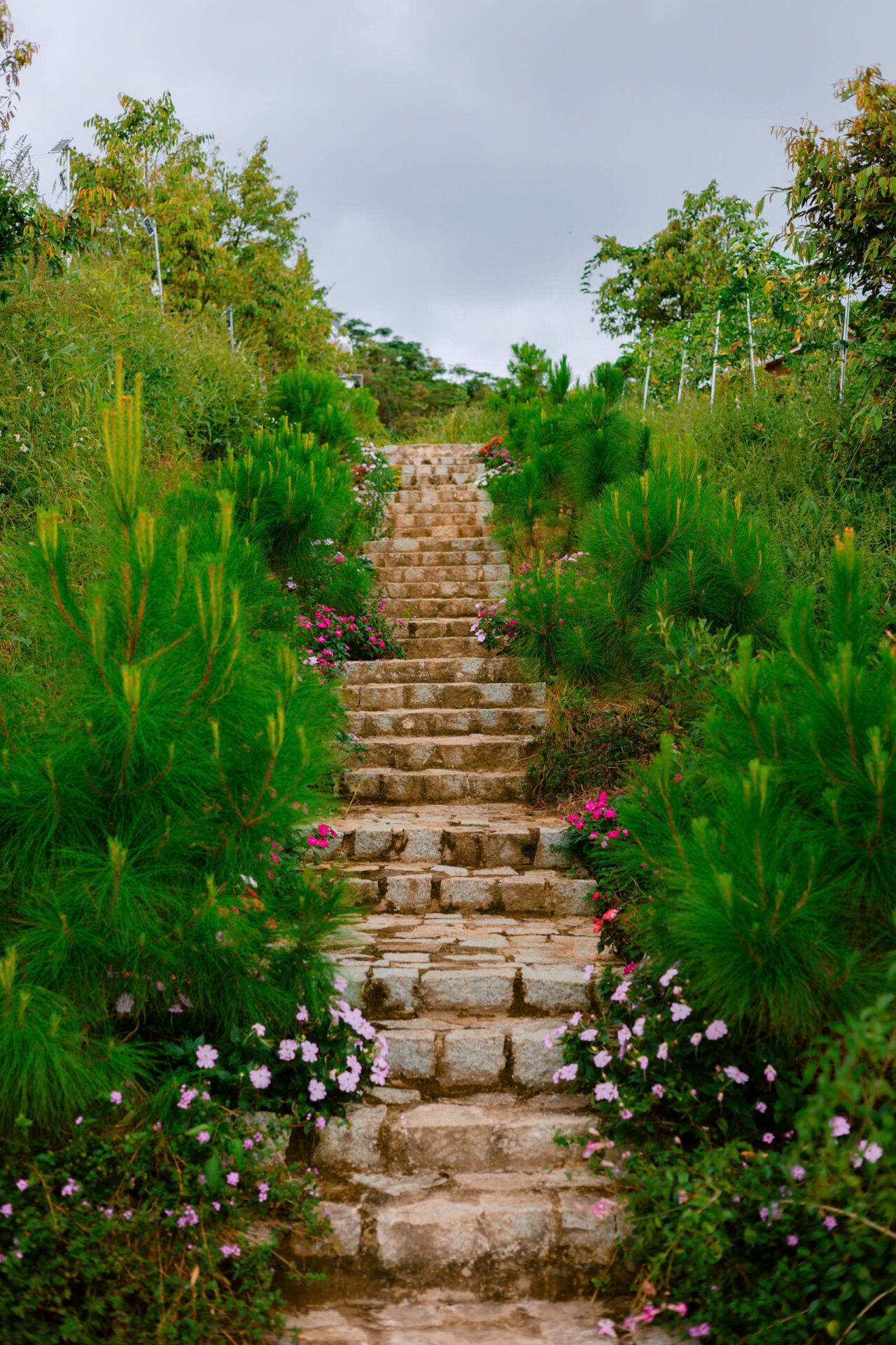 Aman Blao - Không Gian Sống Chữa Lành Giữa Thiên Nhiên Nguyên Bản 18 Aman Blao - Không Gian Sống Chữa Lành Giữa Thiên Nhiên Nguyên Bản - Ảnh 18