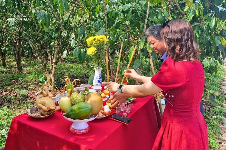 GIÁ TỐT - Đất Nền Khu Nghỉ Dưỡng Aman Blao 43 GIÁ TỐT - Đất Nền Khu Nghỉ Dưỡng Aman Blao