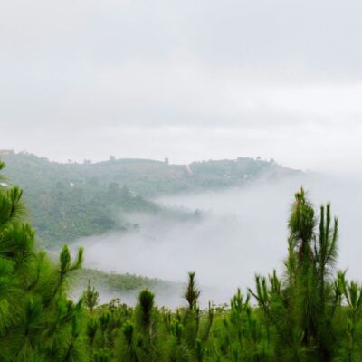 Aman Blao - Không Gian Sống Chữa Lành Giữa Thiên Nhiên Nguyên Bản 45 Aman Blao - Không Gian Sống Chữa Lành Giữa Thiên Nhiên Nguyên Bản