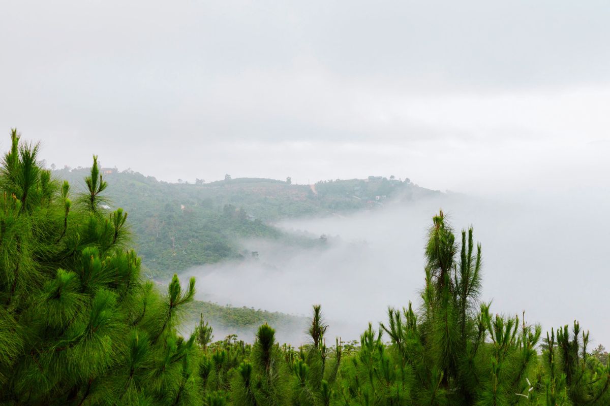 Aman Blao - Không Gian Sống Chữa Lành Giữa Thiên Nhiên Nguyên Bản 49 Aman Blao tất cả các vị trí view săn mây nhìn về đồi bát up