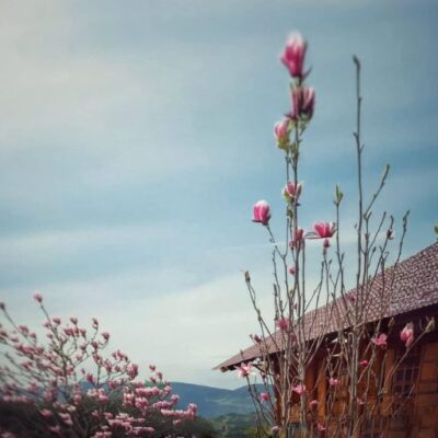 Aman Blao - Không Gian Sống Chữa Lành Giữa Thiên Nhiên Nguyên Bản 35 Aman Blao - Không Gian Sống Chữa Lành Giữa Thiên Nhiên Nguyên Bản