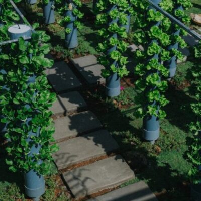 Aman Blao - Không Gian Sống Chữa Lành Giữa Thiên Nhiên Nguyên Bản 31 Aman Blao - Không Gian Sống Chữa Lành Giữa Thiên Nhiên Nguyên Bản