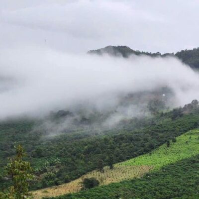 Aman Blao - Không Gian Sống Chữa Lành Giữa Thiên Nhiên Nguyên Bản 30 Aman Blao - Không Gian Sống Chữa Lành Giữa Thiên Nhiên Nguyên Bản