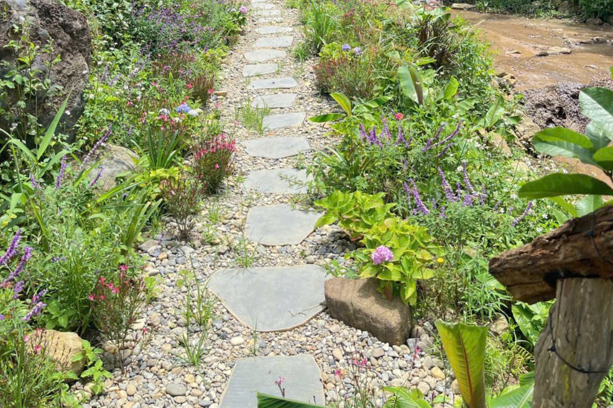 Aman Blao - Không Gian Sống Chữa Lành Giữa Thiên Nhiên Nguyên Bản 56 Trục đường ven suối thảm đá suối và hoa bụi thiên nhiên